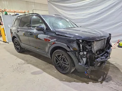 2025 KIA TELLURIDE SX-PRESTIGE X-LINE, фото 4, лот 10775547