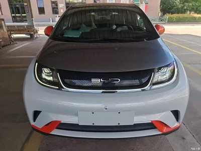 2021 BYD Dolphin Model 405km Fashion Edition, фото 3, лот 10387170