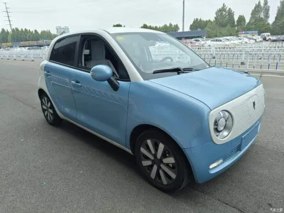 2021 Ora Black Cat 405km Long Range Model, фото 4, лот 11243643