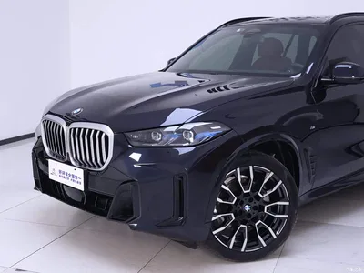 2023 BMW X5 xDrive 40Li M Sport Black Night Package, фото 3, лот 10407510