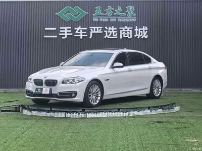 2017 BMW 5 Series 525Li Luxury Design Package, фото 1, лот 10450301