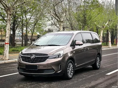2021 Buick GL8 Land Business Class 652T Comfort, фото 1, лот 10255080