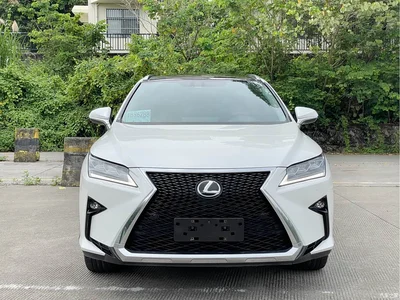 2016 Lexus RX 300 4WD Elegance Edition (China V), фото 2, лот 10314252