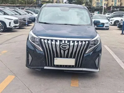 2021 GAC Trumpchi Trumpchi M8 Leading Show Series 390T Prestige Edition, фото 2, лот 11189309