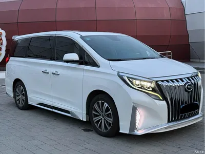2019 GAC Trumpchi Trumpchi M8 320T Ultimate Edition, фото 3, лот 10906786