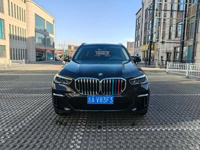 2022 BMW X5 Facelift xDrive 30Li Premium M Sport Package, фото 1, лот 10463076