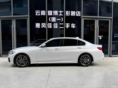 2022 BMW 3 Series 325Li M Sport Package, фото 3, лот 11205241