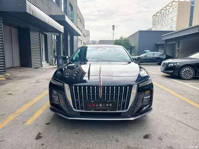 2025 Hongqi H5 2.0T Automatic Flag Celebration 500,000 Units Anniversary Edition, фото 2, лот 10766144