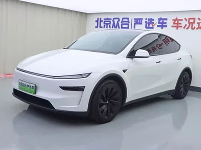 2025 Tesla Model Y Long Range All-Wheel Drive, фото 1, лот 10625406