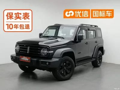 2021 Tank 300 Off-road Version 2.0T Conqueror, фото 1, лот 10344062