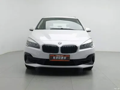 2018 BMW 2 Series Gran Tourer 220i Luxury Line, фото 3, лот 10956574