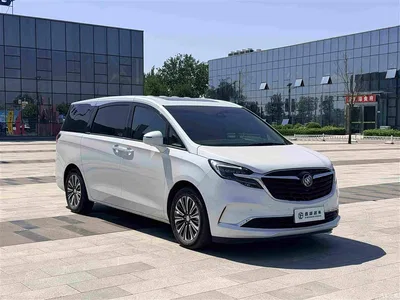 2021 Buick GL8 ES Landlord 653T Luxury, фото 3, лот 10599240