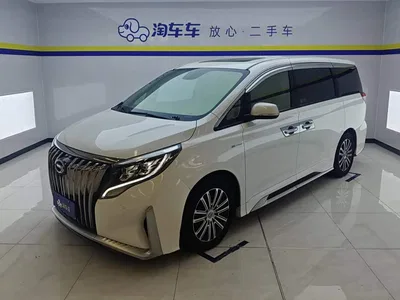 2021 GAC Trumpchi Trumpchi M8 Master Series 390T Prestige Edition, фото 1, лот 11011435