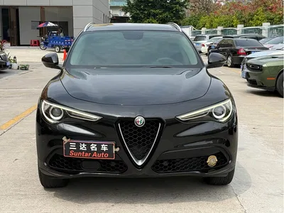 2017 Alfa Romeo Stelvio 2.0T 200HP Luxury Edition, фото 2, лот 10240293