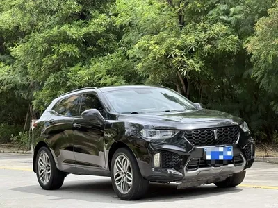 2017 WEY VV5 2.0T Super Luxury Model, фото 3, лот 10452139