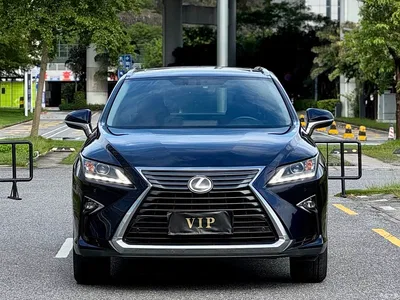 2016 Lexus RX 300 2WD Comfort Edition China V, фото 2, лот 10317595