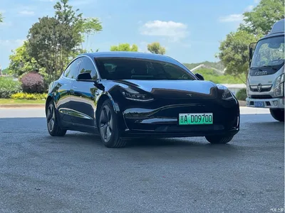 2020 Tesla Model 3 Standard Range Rear-Wheel Drive Upgrade, фото 3, лот 10351751