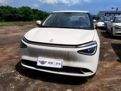 2024 Dongfeng Yipai Nano 01 330 Air, фото 2, лот 10835161