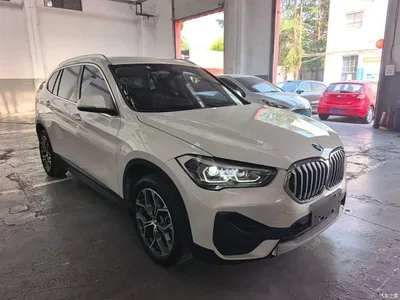 2020 BMW X1 sDrive25Li Leading Model, фото 4, лот 10467195