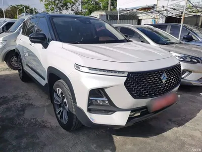 2019 Baojun RS-5 1.5T CVT Smart Drive Flagship China VI, фото 4, лот 11178808