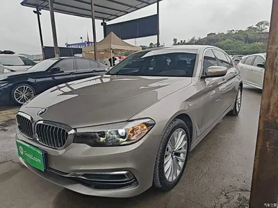 2020 BMW 5 Series 525Li Luxury Package, фото 2, лот 11017296
