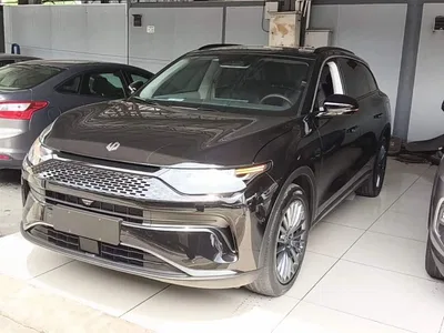 2024 Leapmotor C11 Extended Range 300 Premium Edition, фото 1, лот 10441596