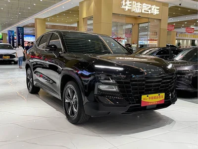 2023 Jetour Dasheng 1.5T DCT Starlight PRO, фото 3, лот 11242871