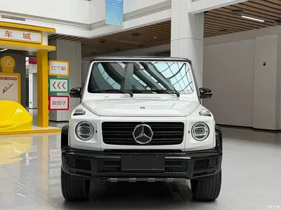 2023 Mercedes-Benz G-Class G 350, фото 1, лот 10280659