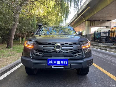 2023 Great Wall Pao 2.0T Off-Road Edition Automatic Gasoline 4WD Everest Edition, фото 2, лот 10246182