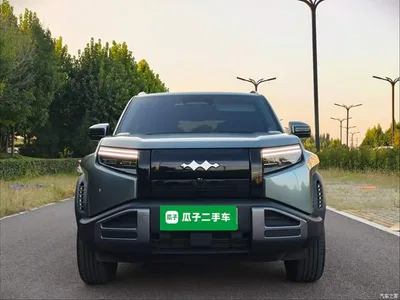 2025 Byd Titanium 3 Model 501KM RWD Smart Drive Ultra, фото 3, лот 11243834
