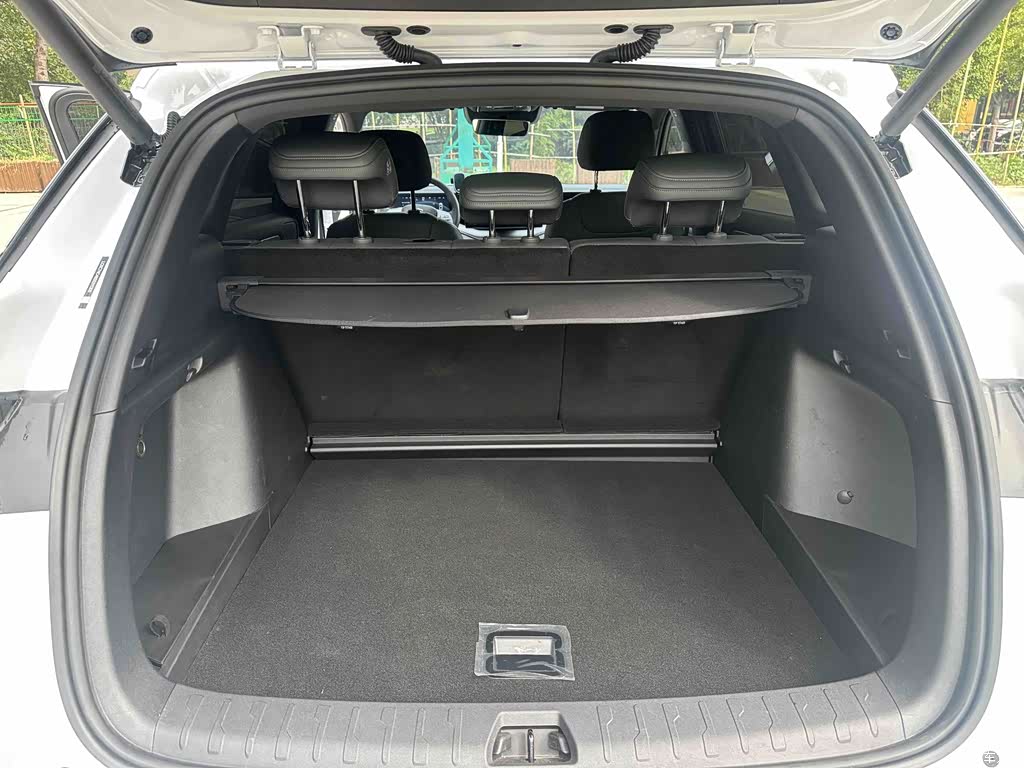 2025 BYD Song L DM-i Smart Drive 160km Premium, фото 4, лот 11199035