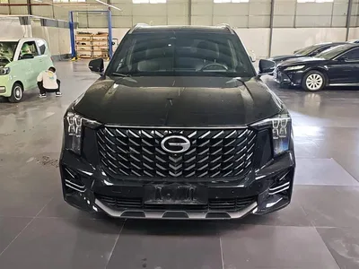 2022 GAC Trumpchi Trumpchi GS8 Dual Engine Series 2.0TM 2WD Premium Edition (7-Seater), фото 2, лот 10416987