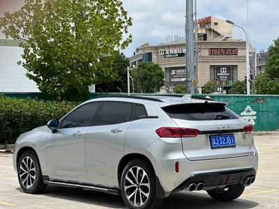2017 WEY VV7 2.0T Super Luxury, фото 4, лот 10451930