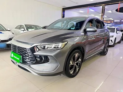2023 BYD Song Pro New Energy Champion Edition DM-i 110KM Excellence, фото 1, лот 11199083