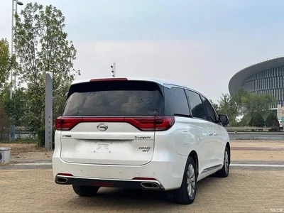 2018 GAC Trumpchi Trumpchi M8 320T Exclusive Edition, фото 4, лот 11493327