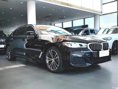 2023 BMW 5 Series 530Li Leading M Sport Package, фото 4, лот 10444752