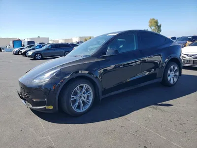 2023 TESLA MODEL Y, фото 1, лот 11184920