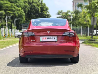 2020 Tesla Model 3 Standard Range Rear-Wheel Drive Upgrade, фото 4, лот 10346184