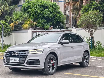 2018 Audi Q5L 40 TFSI Prestige Fashion (China V), фото 2, лот 10233640