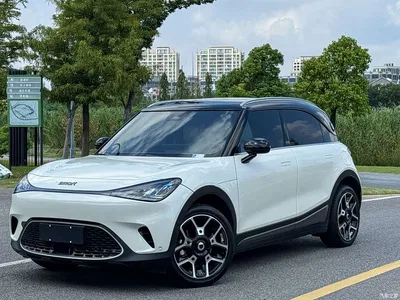 2022 smart Elf #1 Pulse Heartbeat Edition, фото 1, лот 10343204