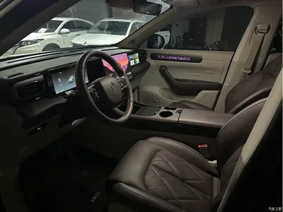 2024 Leapmotor C11 Pure Electric 580 Premium Edition, фото 4, лот 11248237