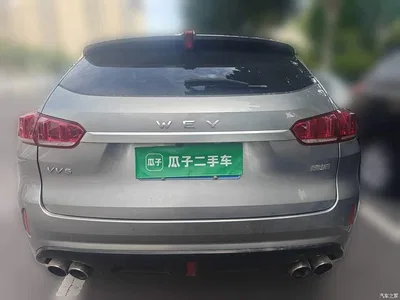 2019 WEY VV5 1.5T 2WD Style Pioneer, фото 3, лот 10451920
