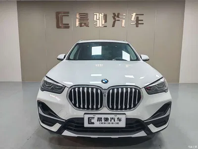 2020 BMW X1 xDrive25Li Premium Edition, фото 3, лот 10411294
