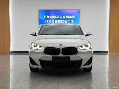 2021 BMW X2 sDrive25i Leading M Sport Package, фото 2, лот 11493776