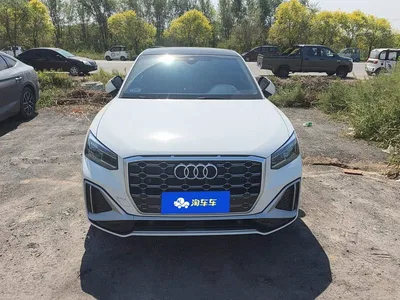 2024 Audi Q2L Facelift 35TFSI Fashion Dynamic, фото 2, лот 10399866