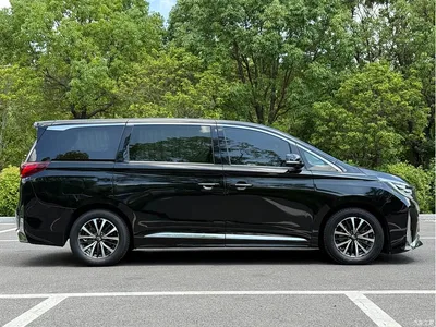 2021 GAC Trumpchi Trumpchi M8 Leading Show Series 390T Premium Edition, фото 3, лот 11096283