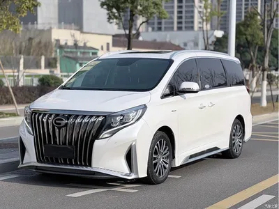2021 GAC Trumpchi Trumpchi M8 Master Series 390T Prestige Edition, фото 1, лот 10418440