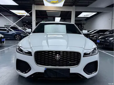 2023 Jaguar XFL Model XFL 2.0T P250 2WD Elite Sport Edition, фото 2, лот 10360310
