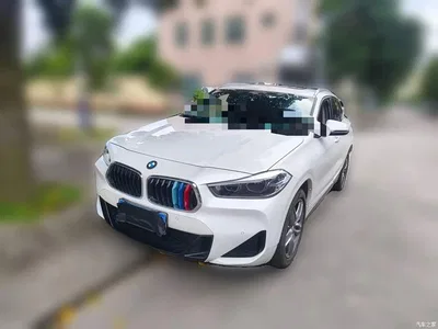 2021 BMW X2 sDrive25i Leading M Sport Package, фото 2, лот 10475642