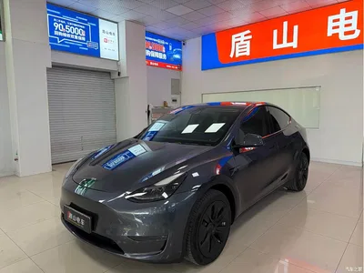 2021 Tesla Model Y Model Long Range AWD, фото 1, лот 11193306